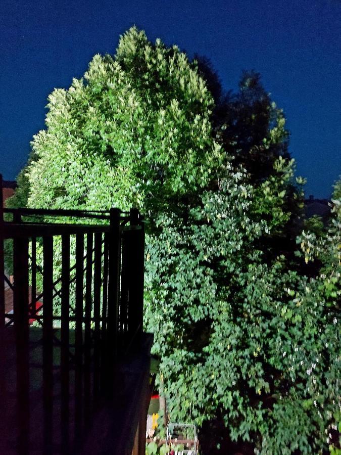 Apartmani Vuk Cetinje Exterior foto